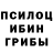 Галлюциногенные грибы Cubensis Andrew Bannerman
