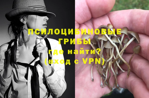 герыч Нестеровская