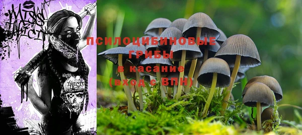 кокаин Фёдоровский