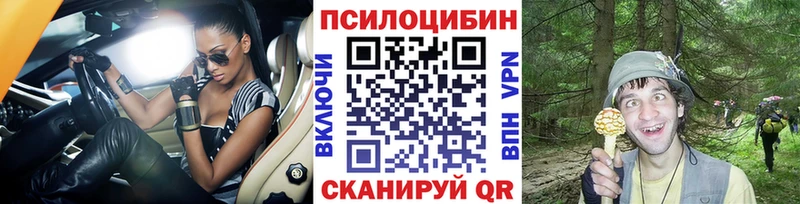 Псилоцибиновые грибы GOLDEN TEACHER  Москва 