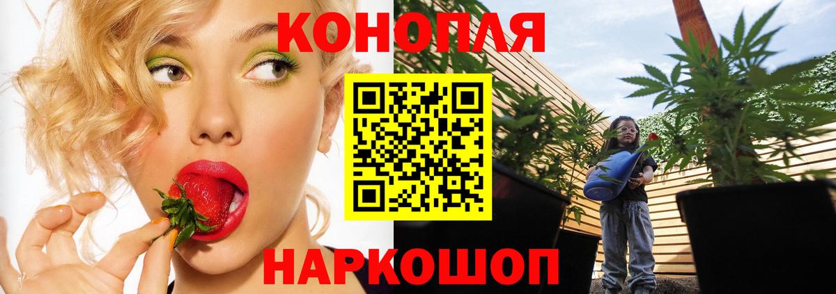 Шишки марихуана Amnesia Москва